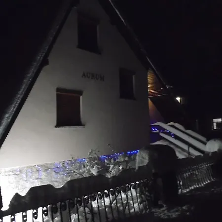 Willa Willa Aurum Szklarska Poręba